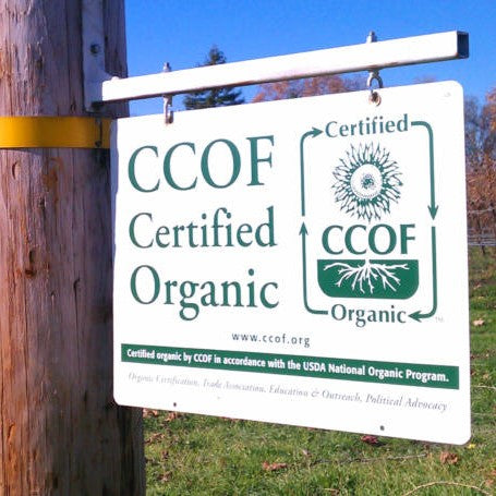 アメリカ アレクサンダー・ヴァレー・ヴィンヤーズ