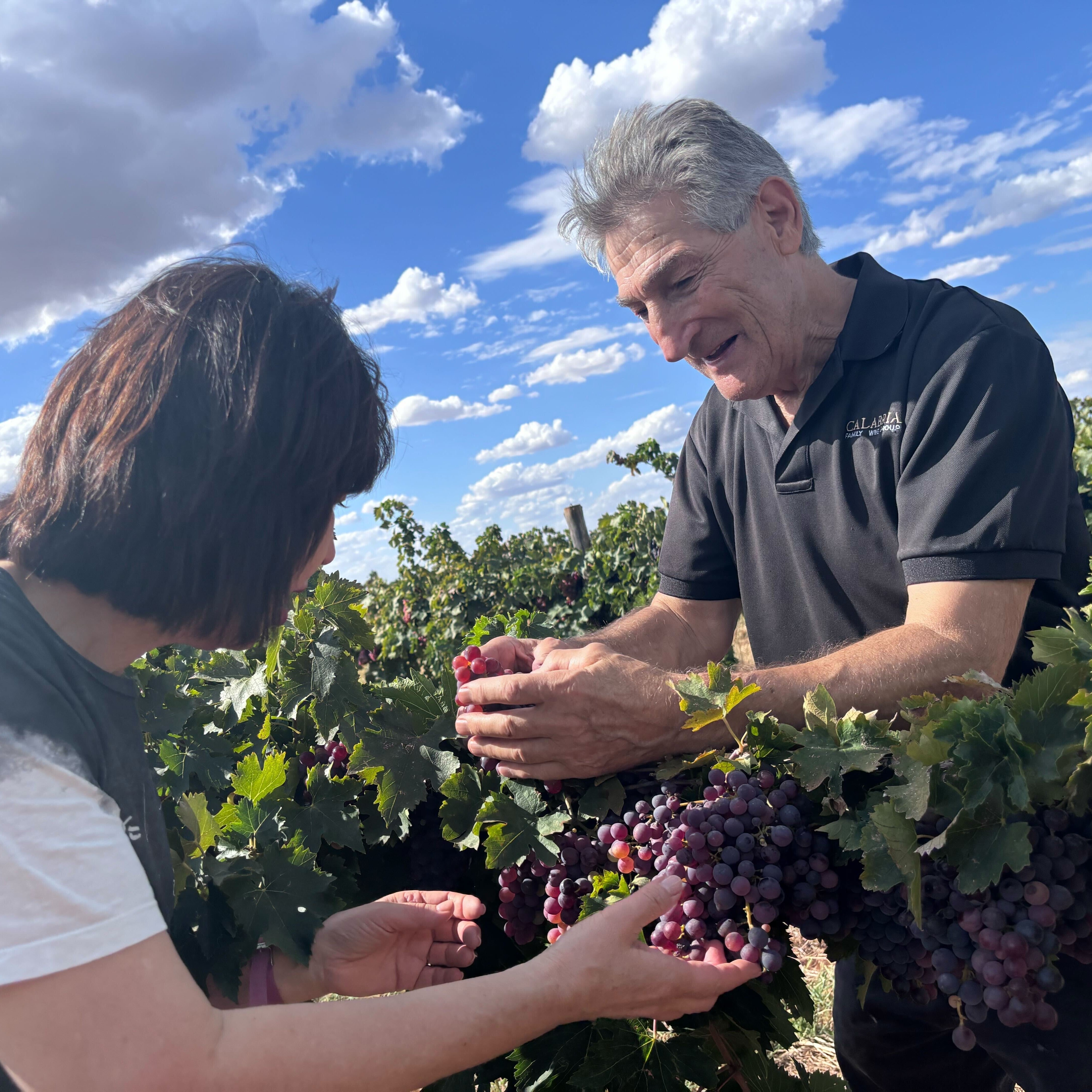 オーストラリア カラブリア・ファミリー・ワインズ