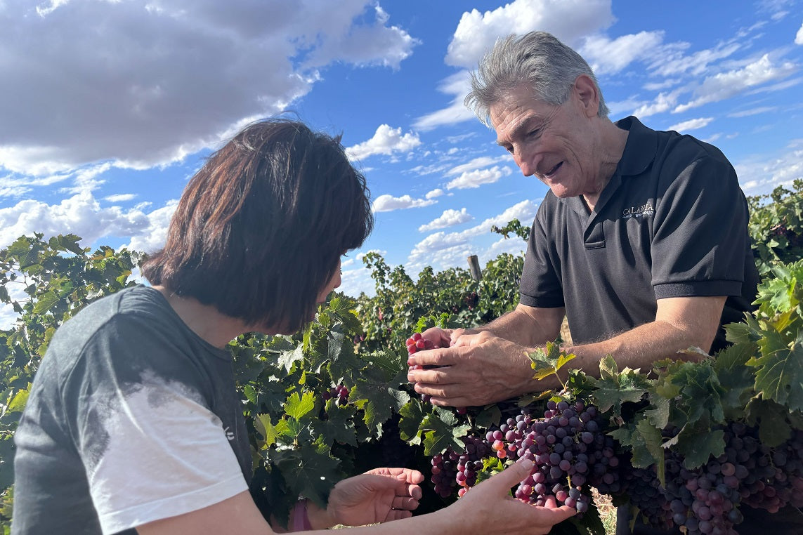 【WEB限定価格】サン・ペトリ グルナッシュ・シラーズ・カリニャン(AU03-90)