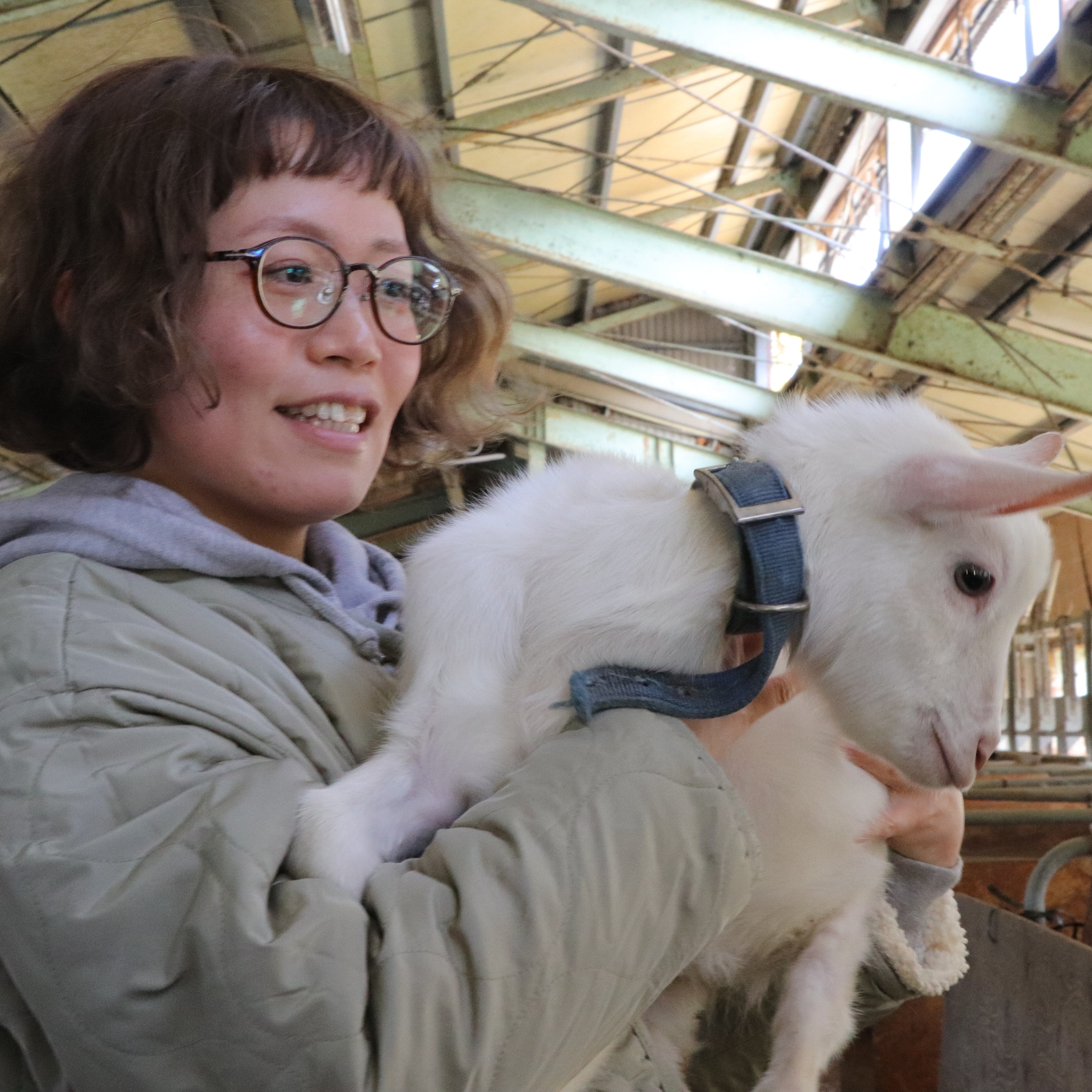 マリコ・ロマーナ 70g【要クール便】