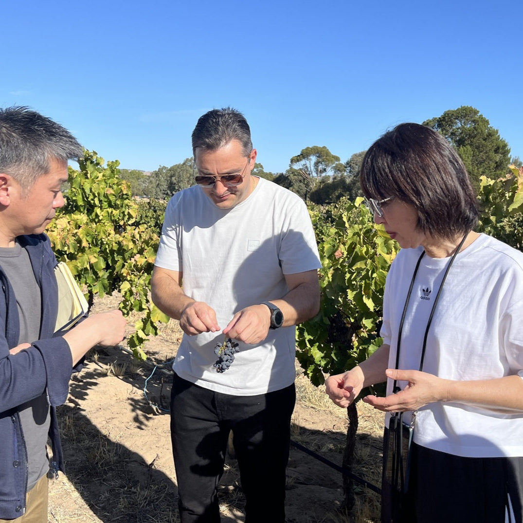 アルタナート マルベック