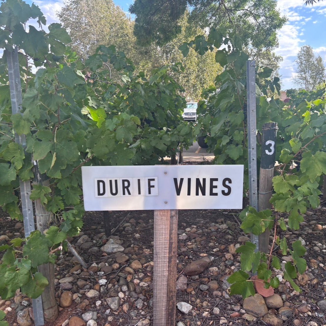 オーストラリア カラブリア・ファミリー・ワインズ