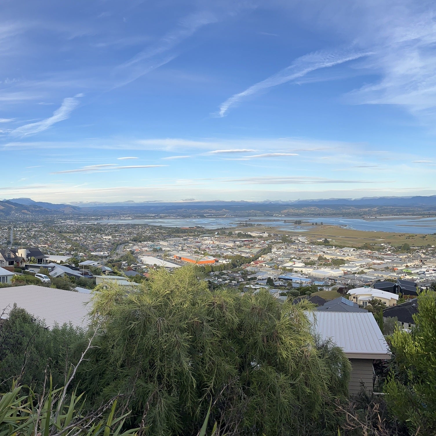 テ・マニア ソーヴィニヨン・ブラン