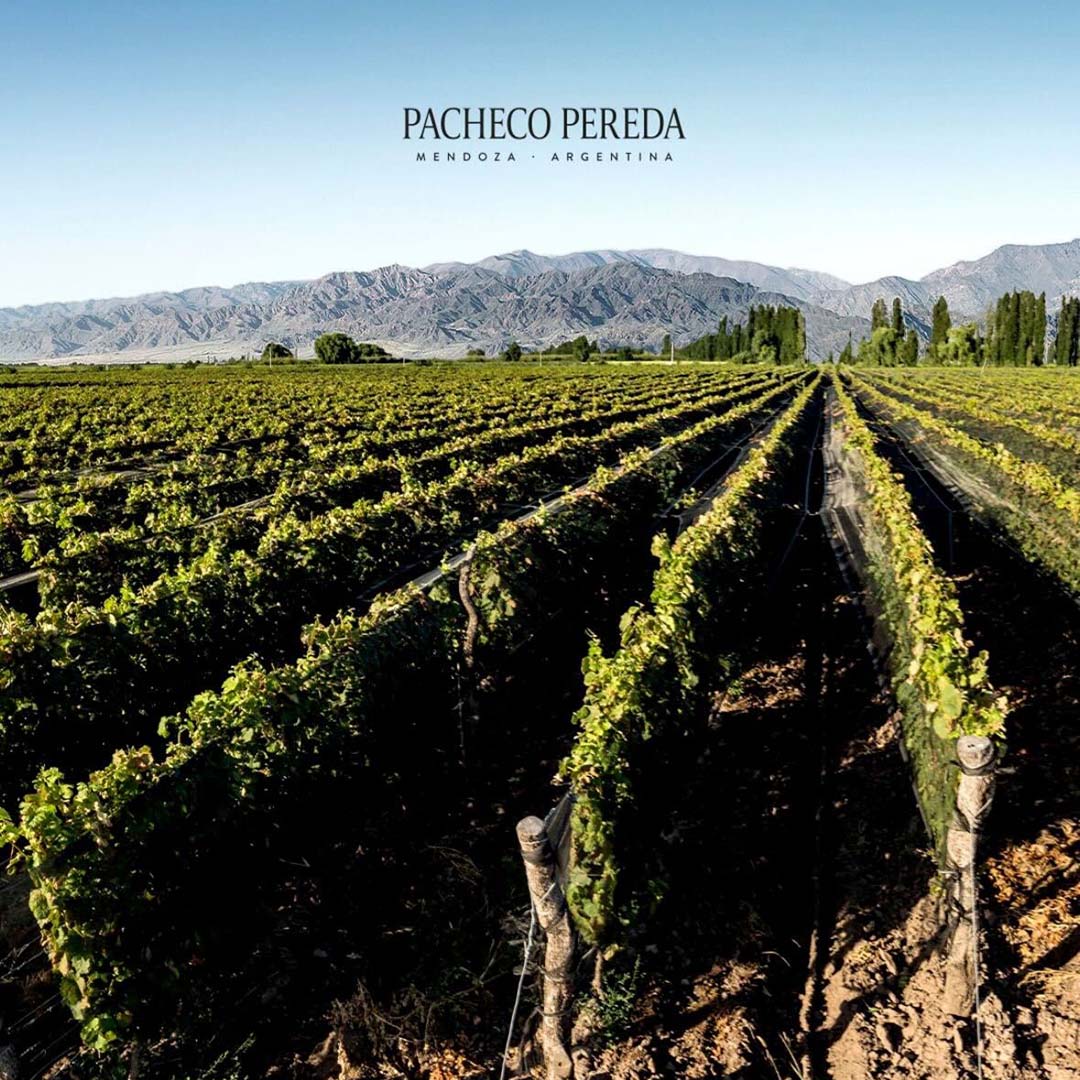 パチェコ・ペレダ マルベック