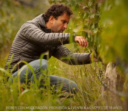 アルゼンチン パチェコ・ペレダ