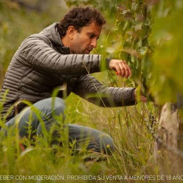 アルゼンチン パチェコ・ペレダ