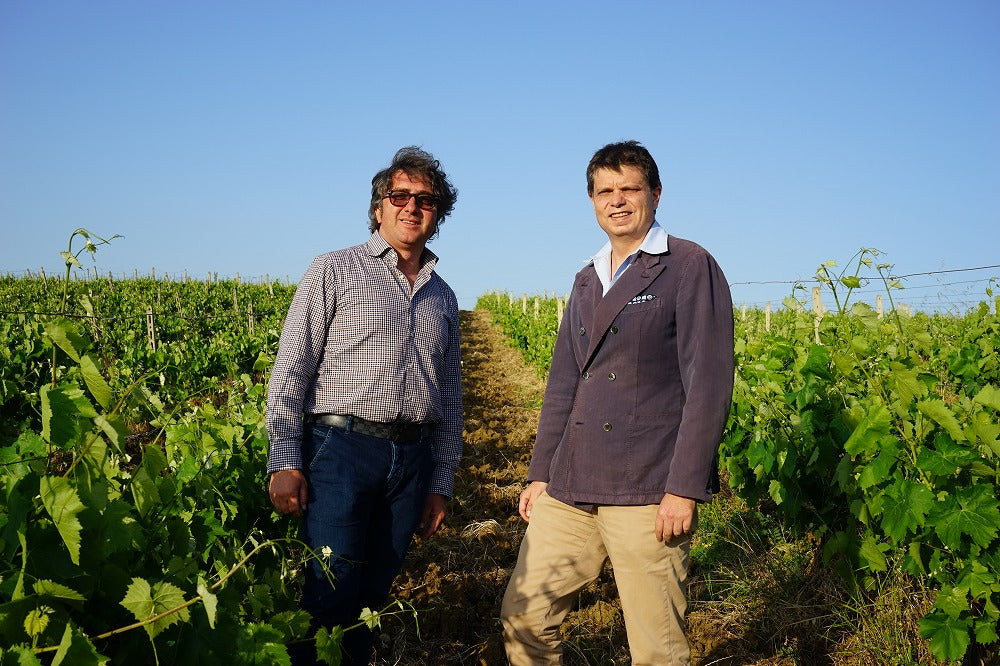 イタリアのぶどう畑にいる男性