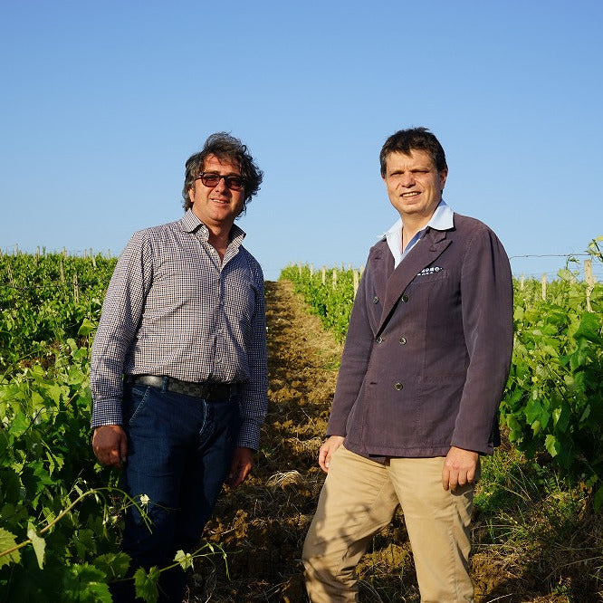 イタリア トーラ