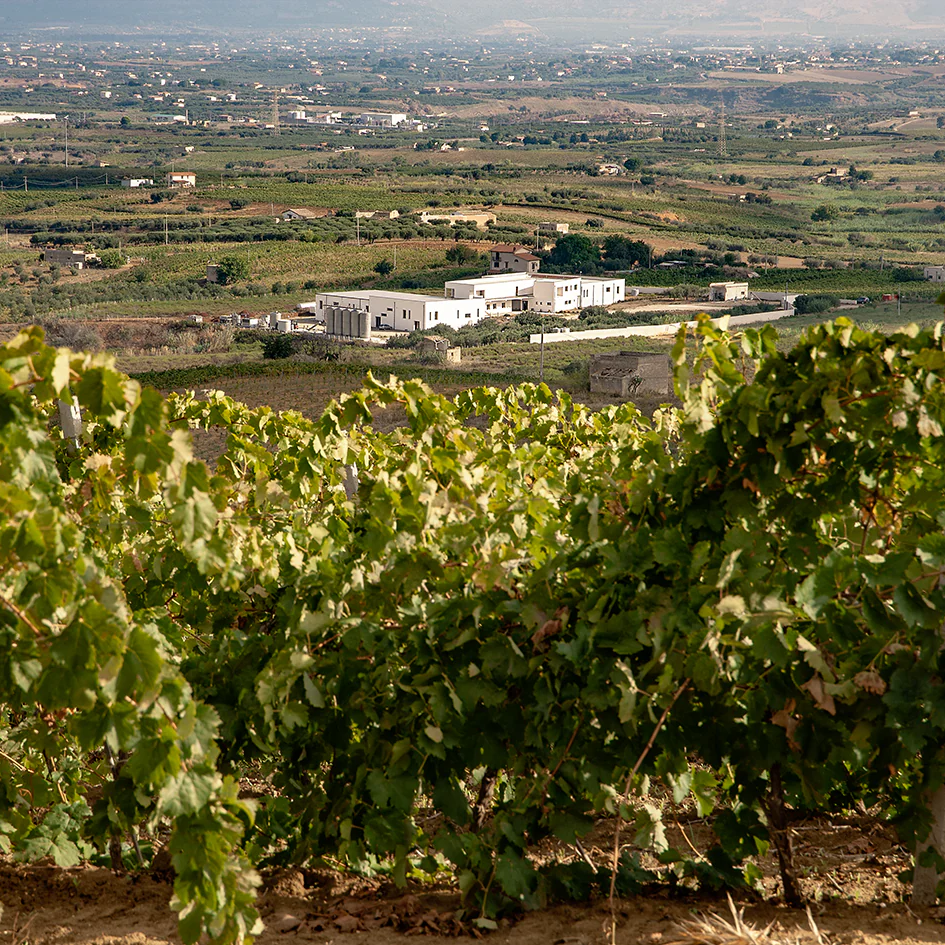イタリア紅白コクありワインギフト【ギフト箱付】
