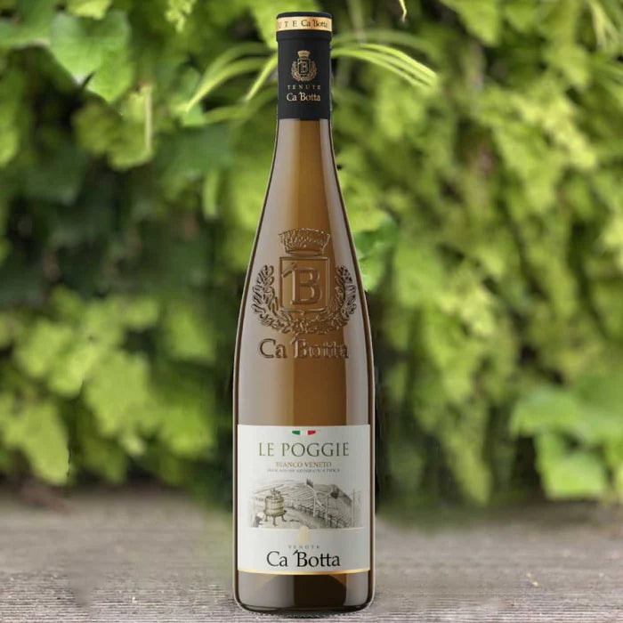 春のいち推しワイン6本セット【SET】