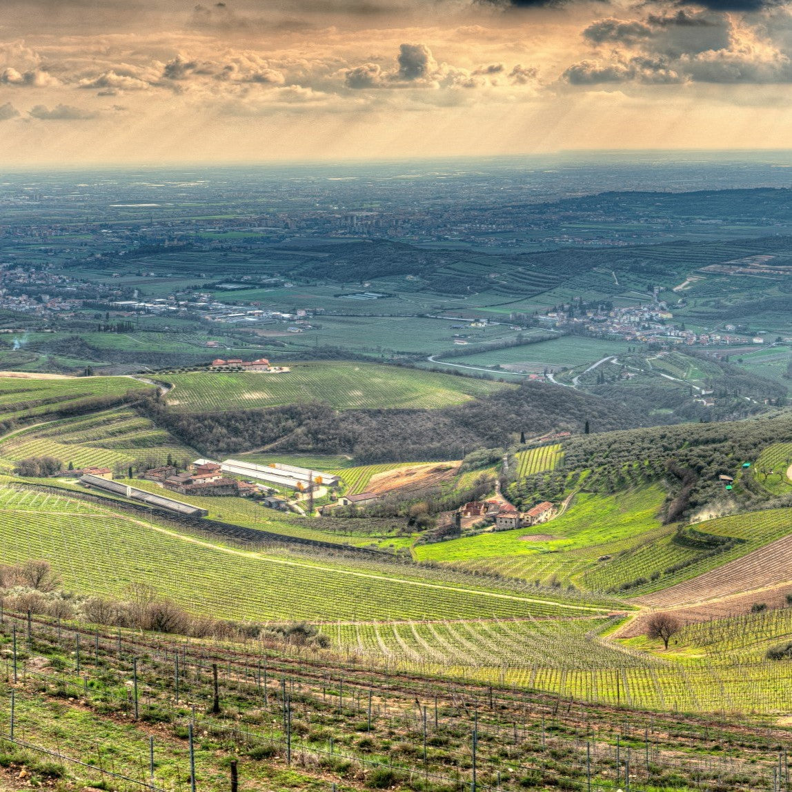 カ・ボッタ・レ・ポッジエ・ビアンコ