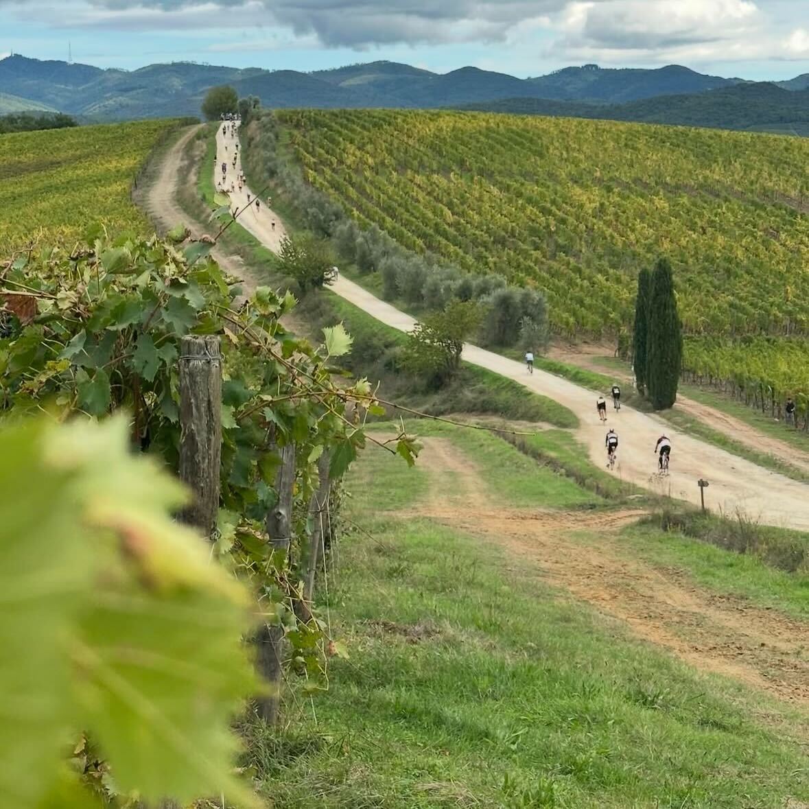 【WEB限定価格】ディエヴォーレ カンピノヴィ 2020(IT85-1420)