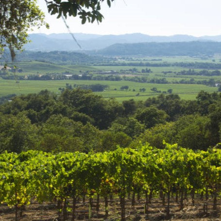 アメリカ アレクサンダー・ヴァレー・ヴィンヤーズ