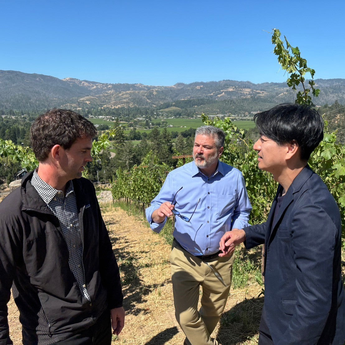 ライソロジー カベルネ・ソーヴィニヨン・ナパ・ヴァレー 2019【要クール便】