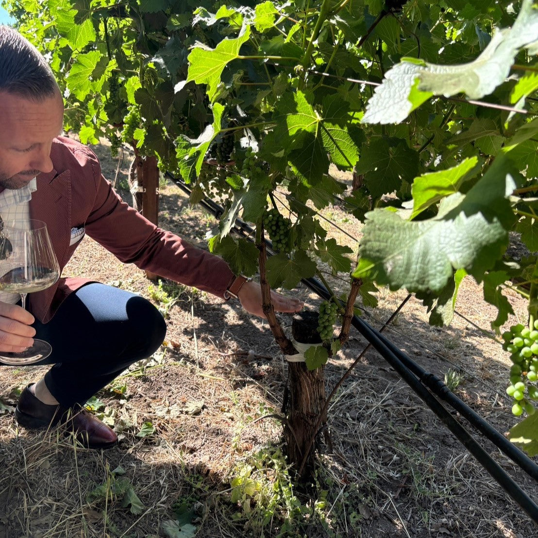 ライソロジー カベルネ・ソーヴィニヨン・ナパ・ヴァレー 2019【要クール便】