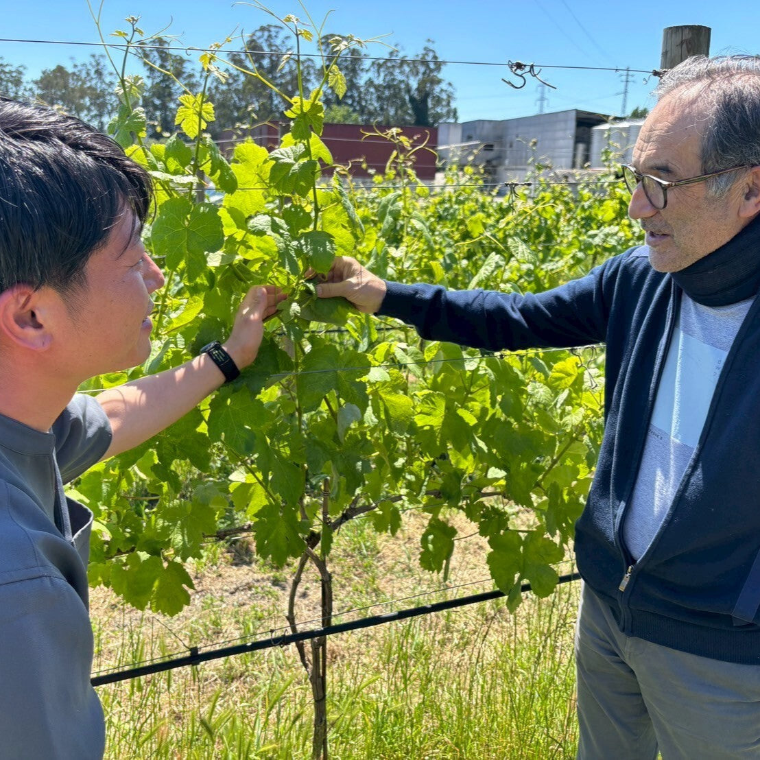 アルカス ペット・ナット