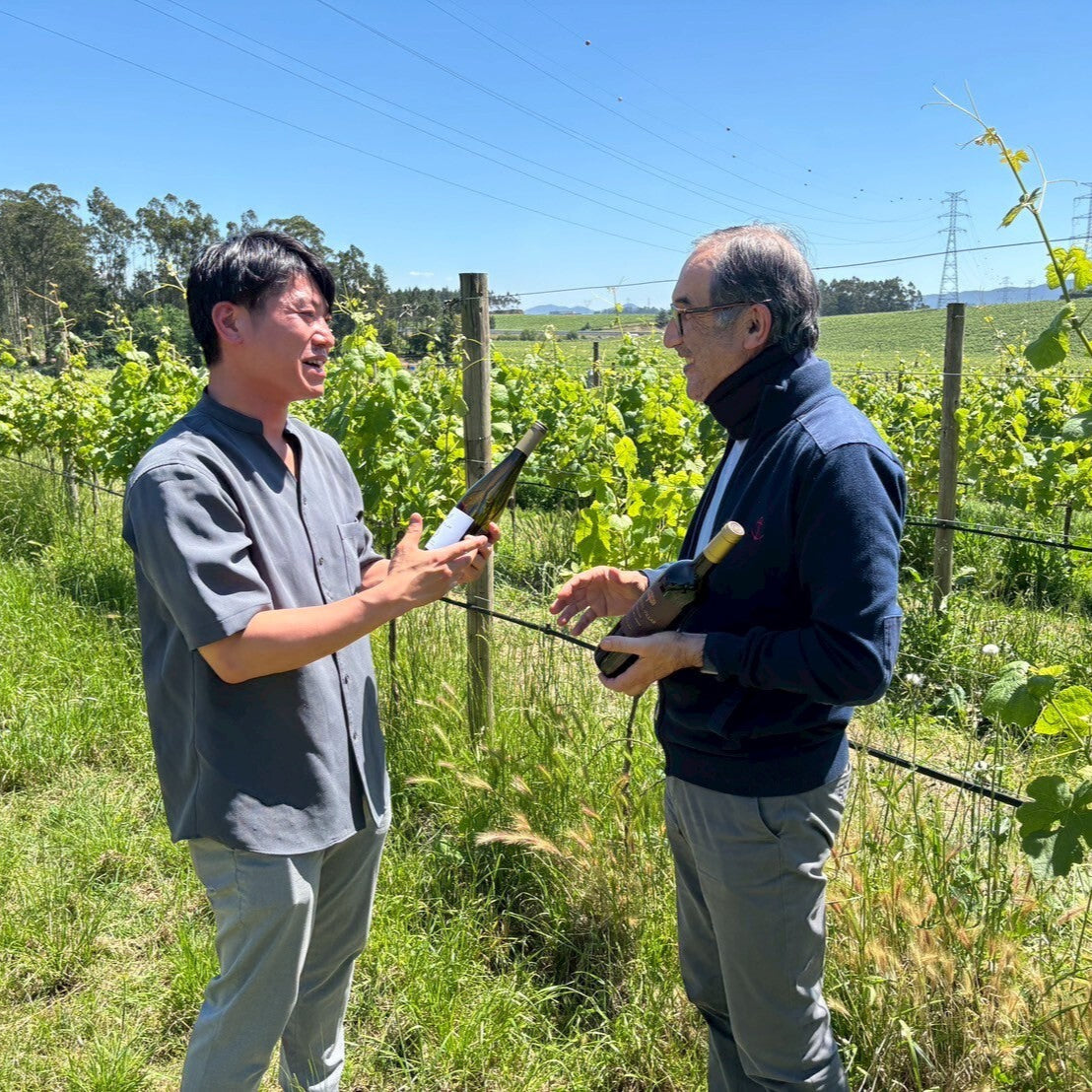 ポルトガル キンタ・ダス・アルカス