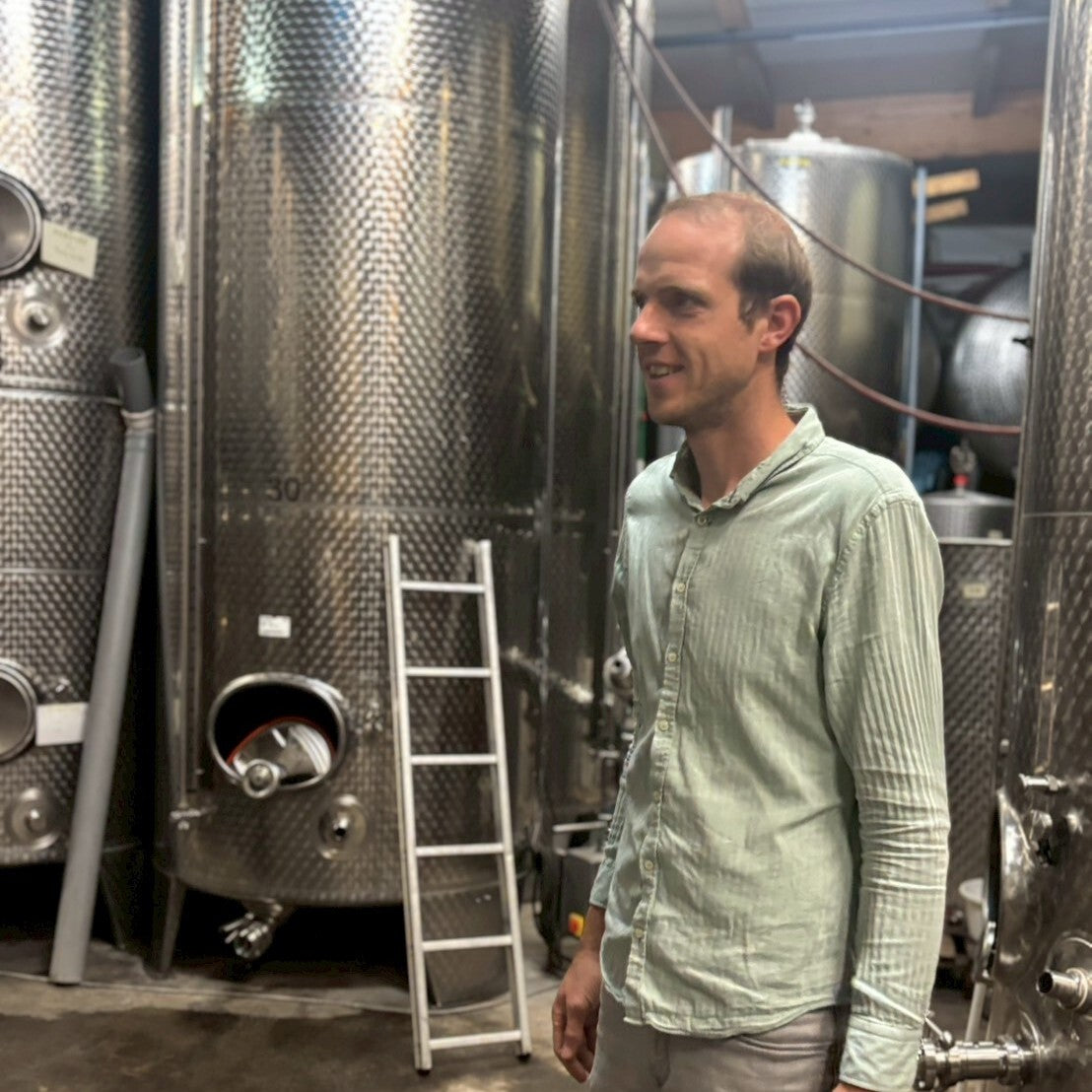 ドイツ スパークリング 白 ワイン 微発泡ワイン ナーエ フォルスター ヴィノスやまざき