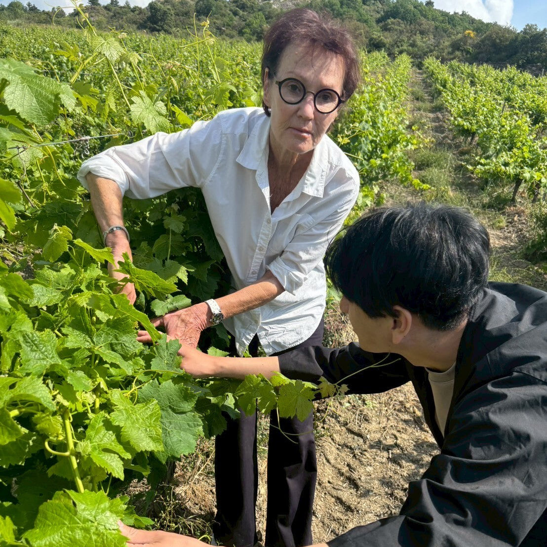 グールガゾー 南フランス ワイン