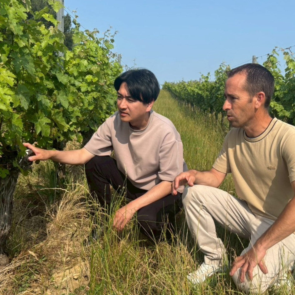 シャトー・レ・グラーヴ・ロゼ