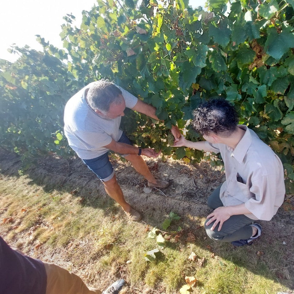 【WEB限定】買付隊・塩野おすすめ 蔵元のこだわりが詰まったフランスワインセット