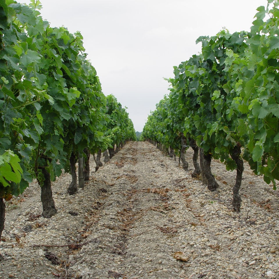 フランス シャトー・ド・レイニャック