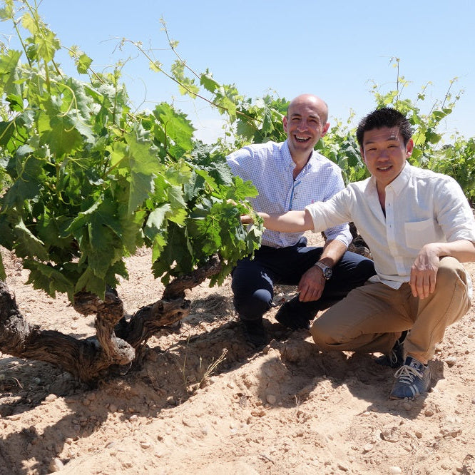 スペイン ボデガス・バルバス