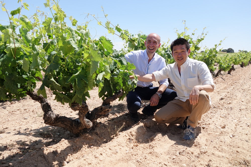 バルバス レセルバ リベラ・デル・ドゥエロ 2016