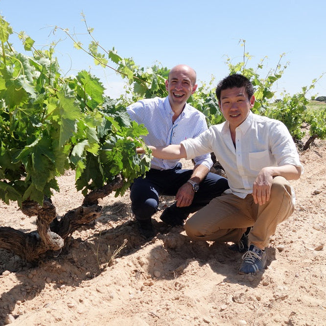 スペイン ワイン ボデガス バルバス リベラ・デル・デュエロ