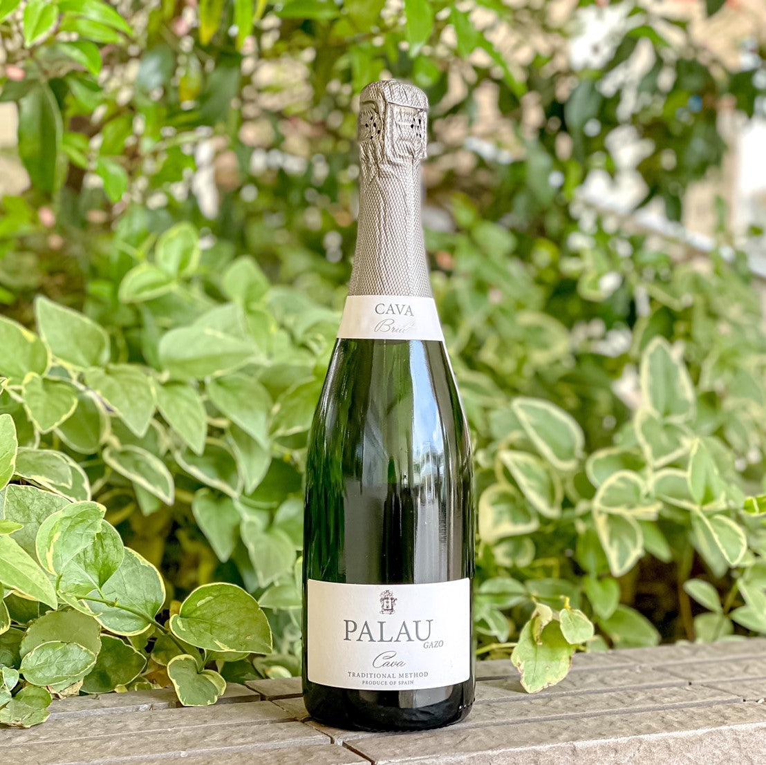 4月プレミアムワインバスケット 泡6本