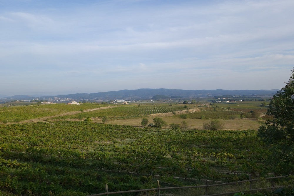 スペイン モンマルサル