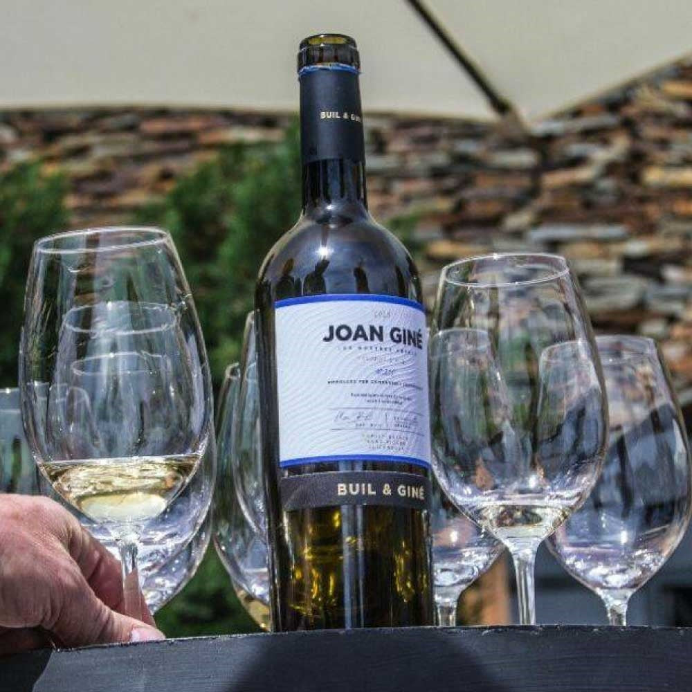 ジョアン・ジーネ ブラン 白ワイン スペイン カタルーニャ州