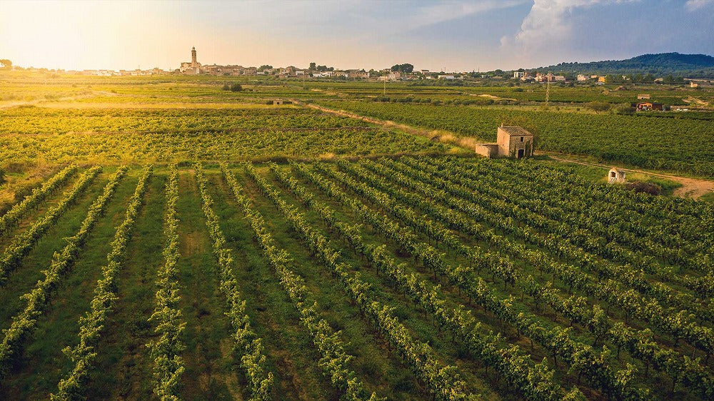 トレス・ナウス カバ ブリュット