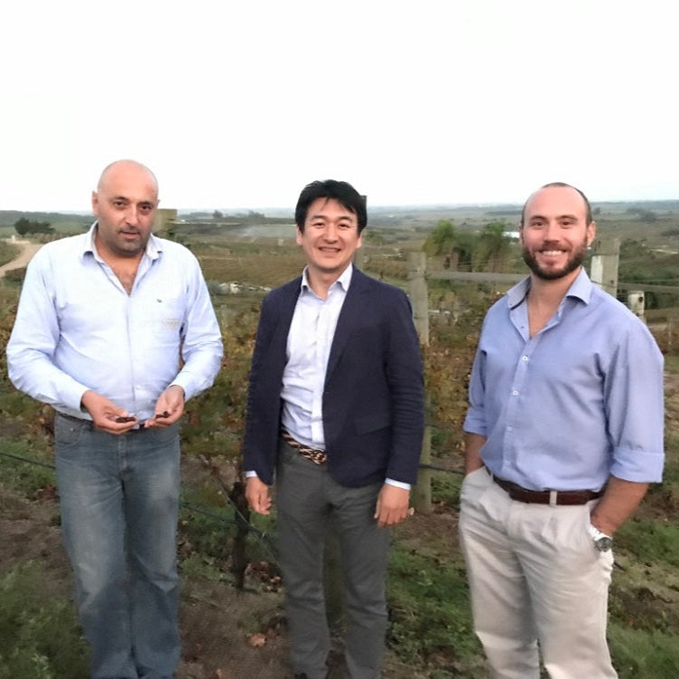 ウルグアイ ボデガ・ガルソン ワインスペクテーター バリューワインTOP10