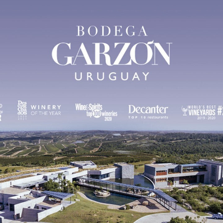 ウルグアイ ボデガ・ガルソン ワイン ワインスペクテーターTOP100 バリューワインTOP10