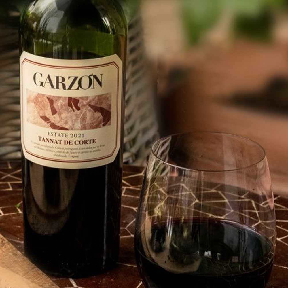 ガルソン タナ 赤ワイン ウルグアイ マルドナド県