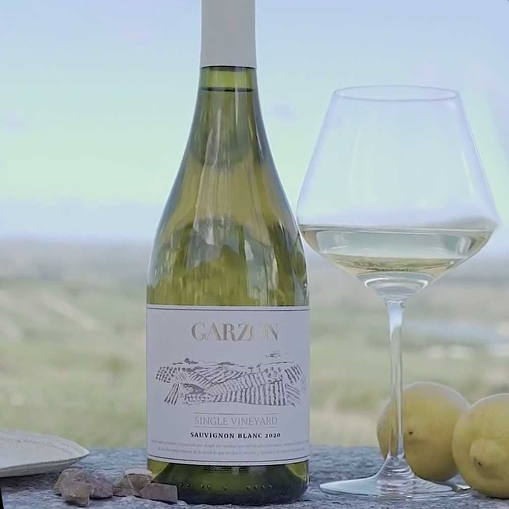 ガルソン シングルヴィンヤード ソーヴィニヨン・ブラン