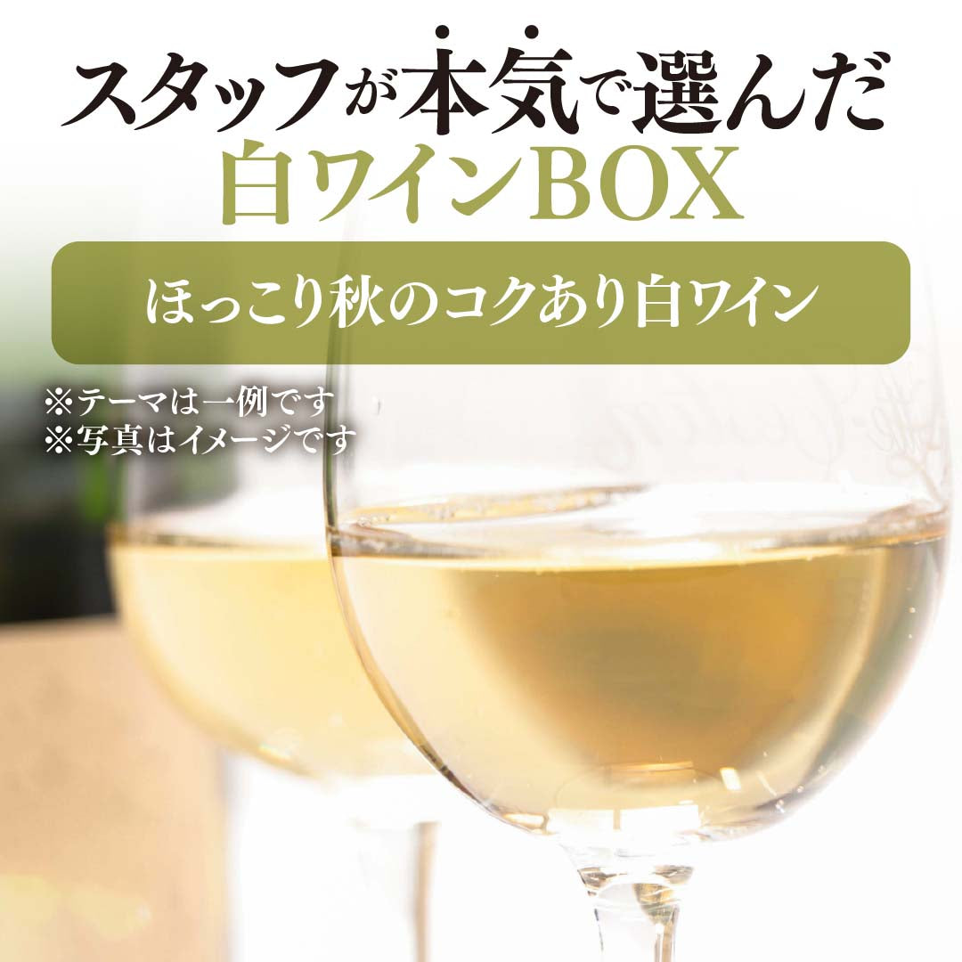 【WEB限定】スタッフが本気で選んだ白4本セットBOX【2025年9月19日以降お届け予定】