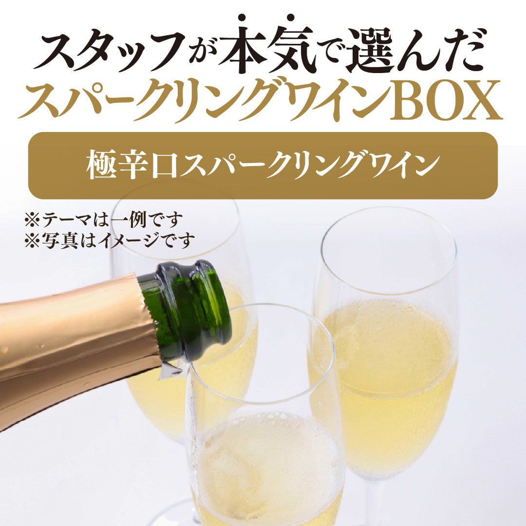 【WEB限定】スタッフが本気で選んだ泡4本セットBOX【2025年9月19日以降お届け予定】