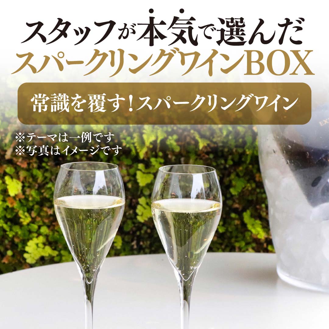 【WEB限定】スタッフが本気で選んだ泡4本セットBOX【2025年9月19日以降お届け予定】