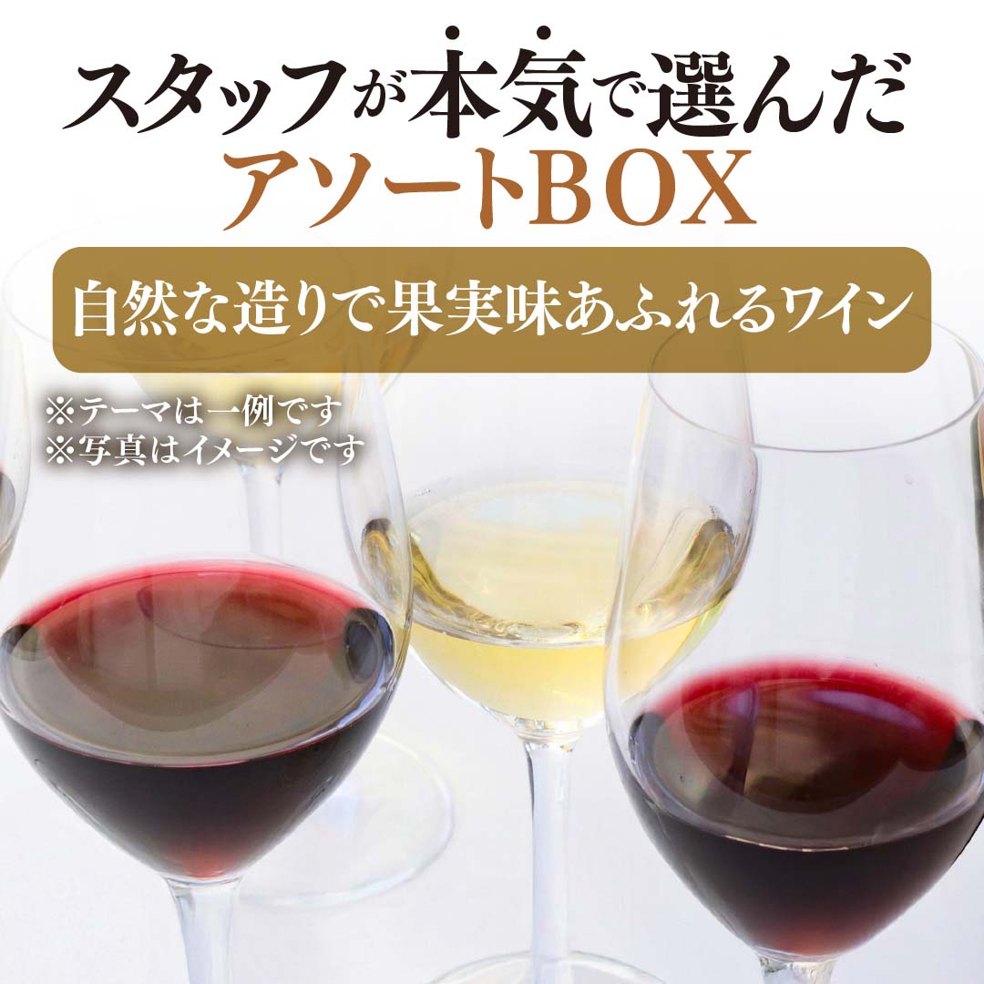 【WEB限定】スタッフが本気で選んだアソート4本セットBOX【2025年9月19日以降お届け予定】