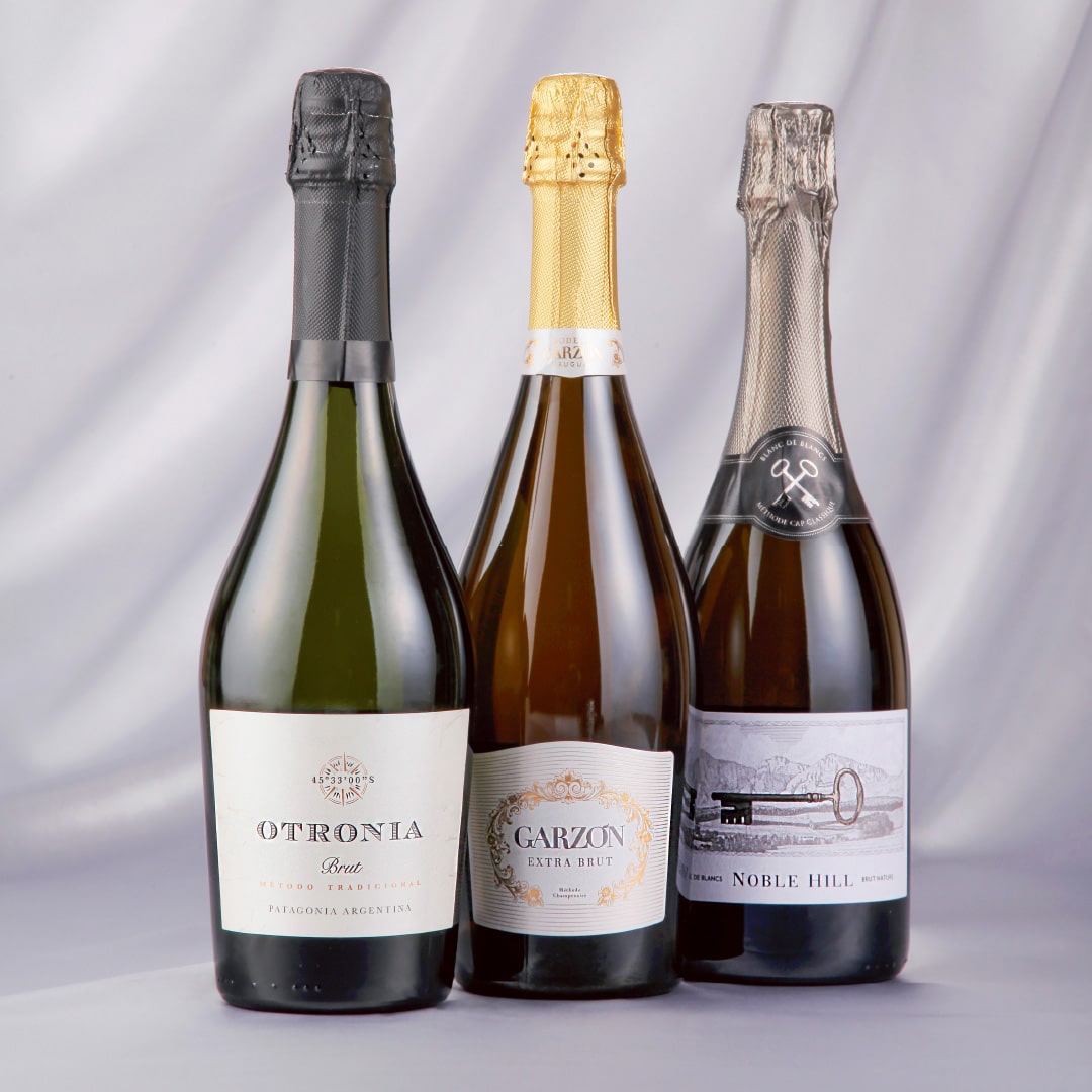 蔵直クラフト スパークリング 飲み比べ3本セット【SET】