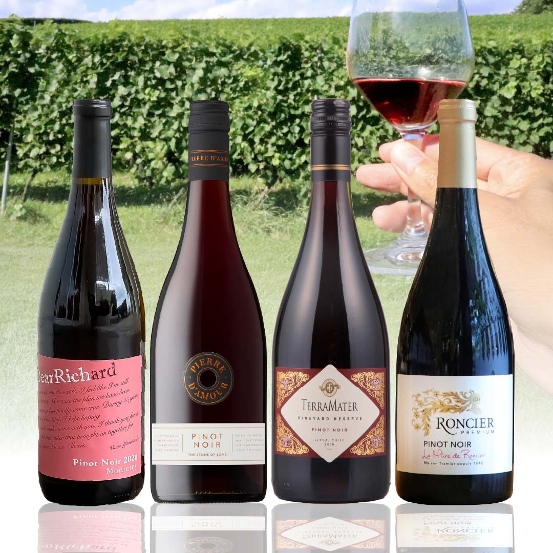 【WEB限定】世界のピノ・ノワールセット 第5弾