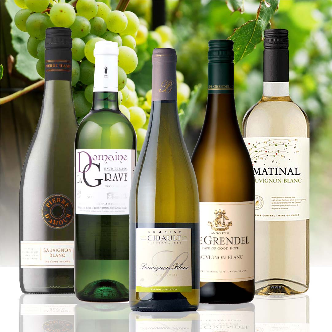 【WEB限定】世界のソーヴィニヨン・ブランセット 第4弾