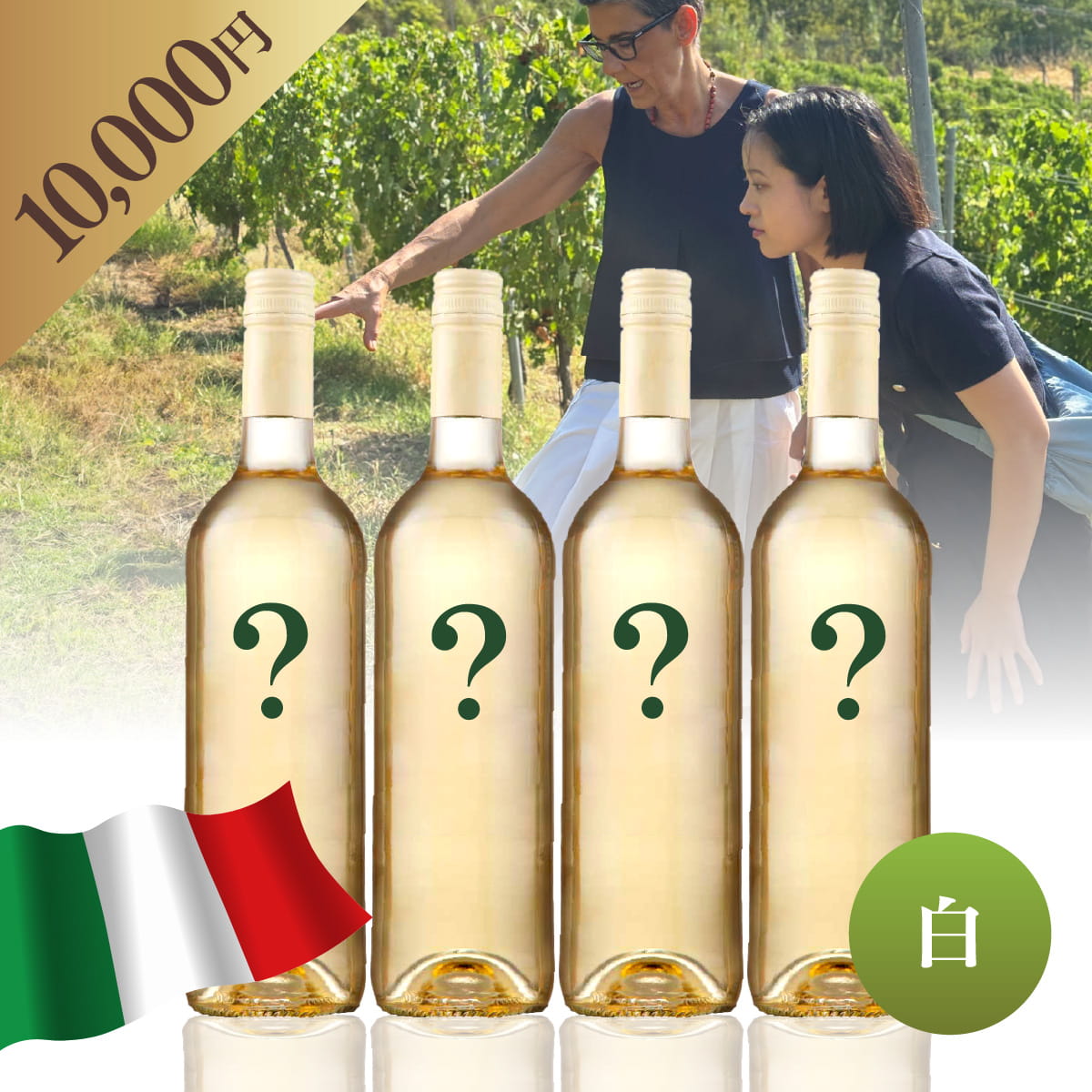 【WEB限定】 イタリアお楽しみBOX 10,000円 白4本
