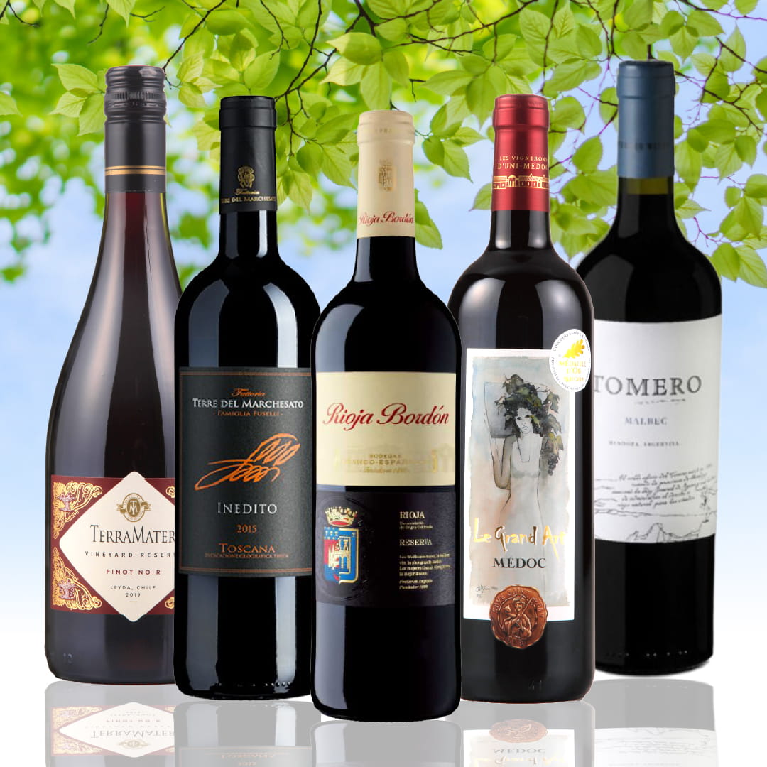 【WEB限定】新緑の赤ワインセット