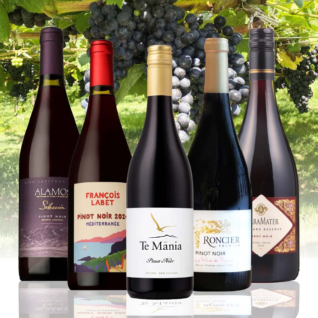 【WEB限定】世界のピノ飲み比べセット