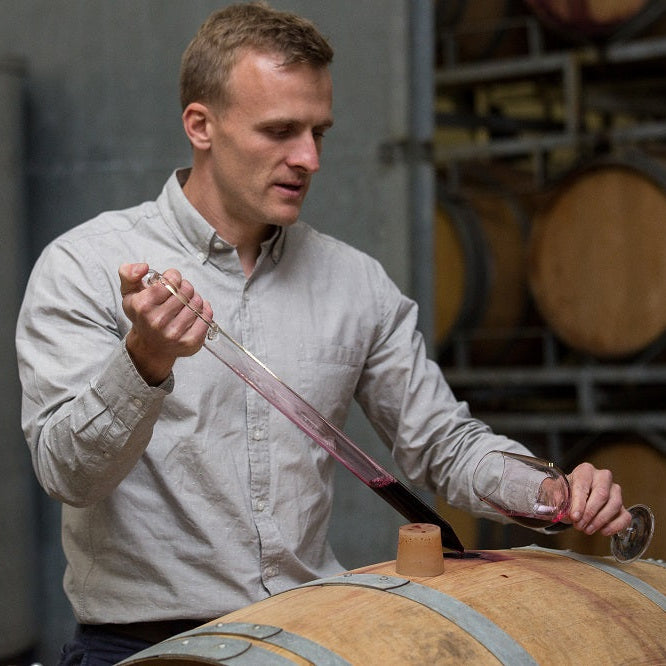 南アフリカ ノーブルヒル・ワイナリー