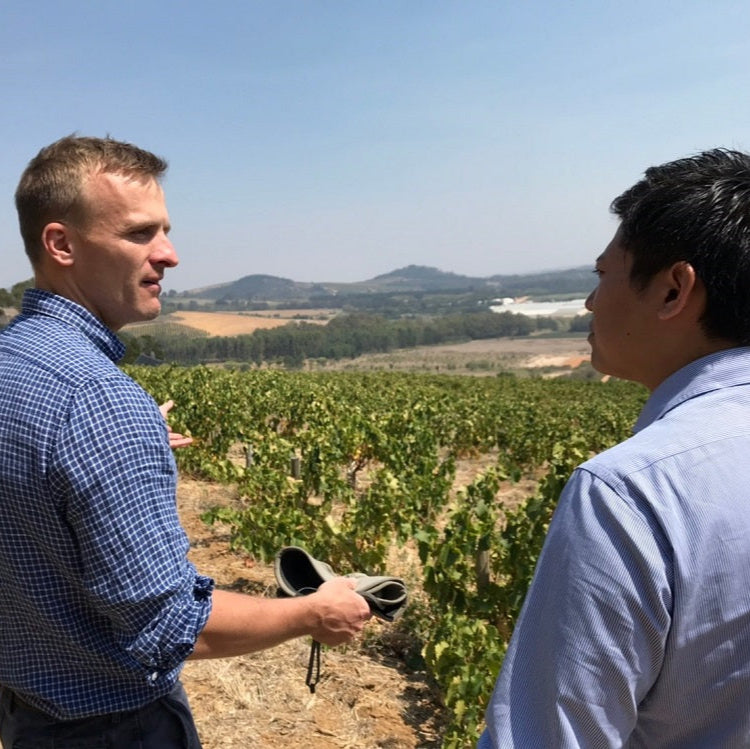 南アフリカ ノーブルヒル・ワイナリー