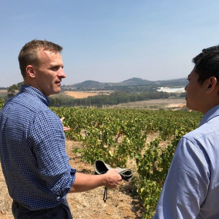 南アフリカ ノーブルヒル・ワイナリー